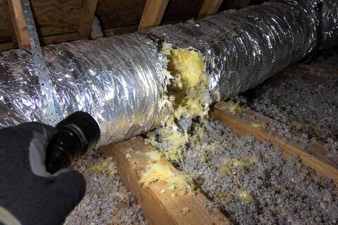 Flexible attic duct with a ragged hole chewed in its silver jacket and shredded insulation scattered on the joists beside it