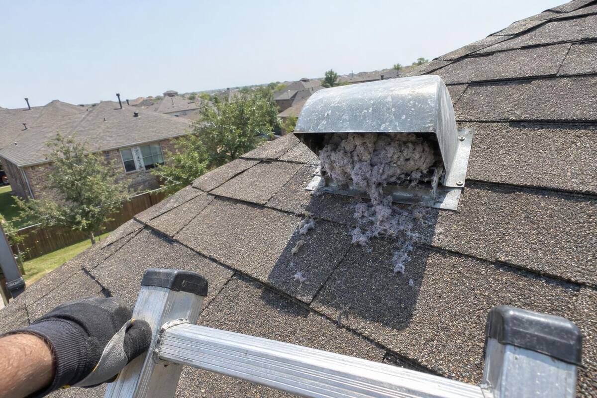 Low metal vent cap on an asphalt shingle roof with gray lint matted across its opening, seen from the top of a ladder